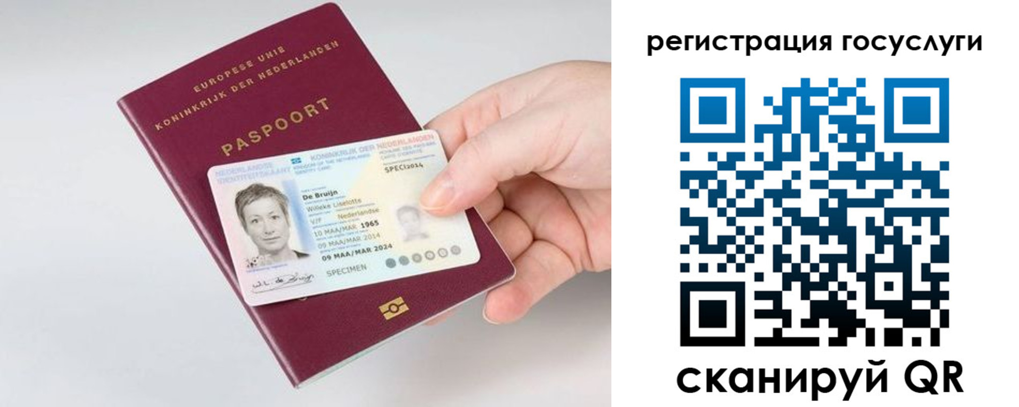 регистрация для дет. сада в Донском